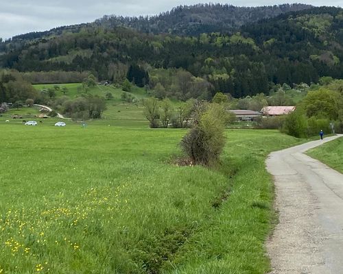 Firmenlauf Balingen mit Strecke!
