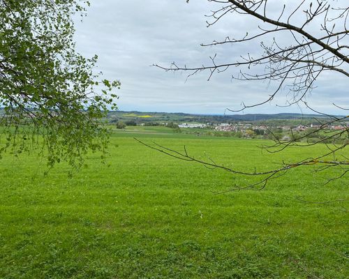 Streckenbegehung in Balingen