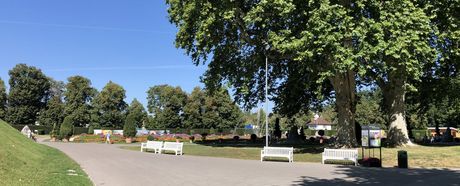 Da ist was im Busch...